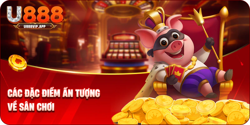Các đặc điểm ấn tượng về sân chơi