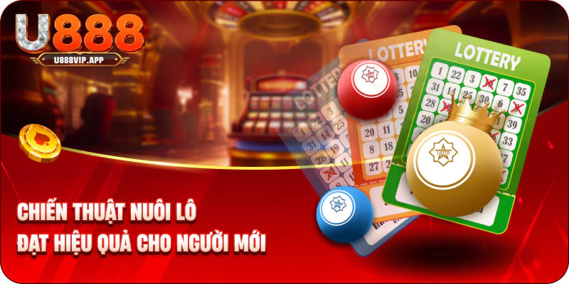 Chiến thuật nuôi lô đạt hiệu quả cho người mới