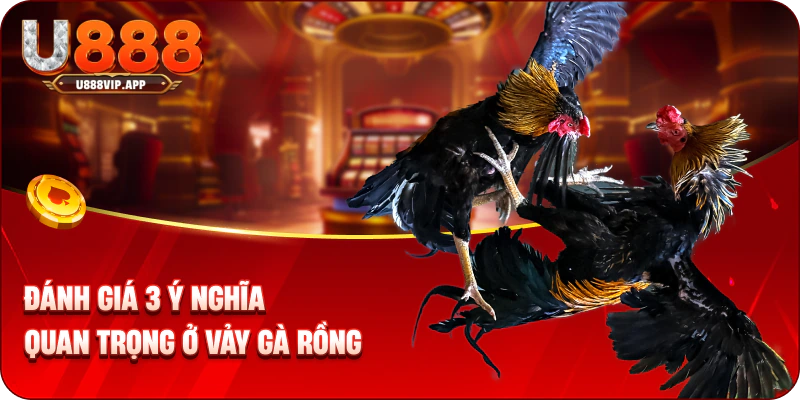 Đánh giá 3 ý nghĩa quan trọng ở vảy gà rồng